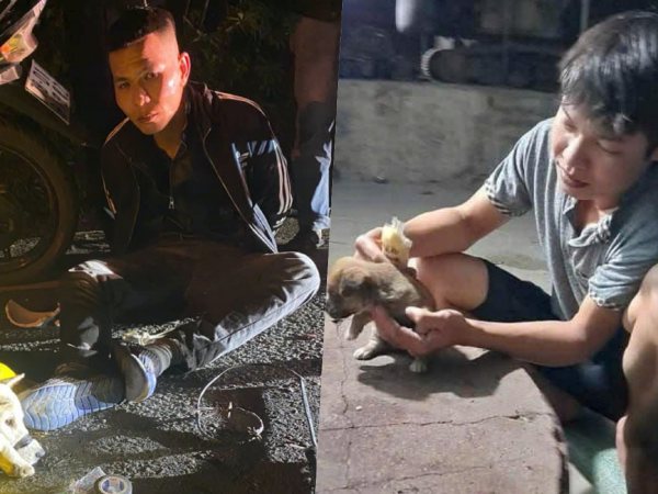 Bắt quả tang 'cẩu tặc' cùng 103kg chó vừa trộm