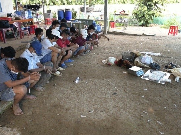 Triệt phá tụ điểm đá gà ăn tiền, bắt giữ nhiều đối tượng