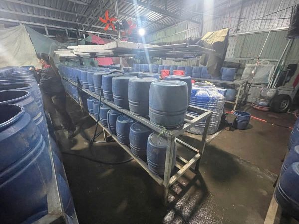 Hãi hùng phát hiện 6 cơ sở dùng hoạt chất độc hại làm ra hàng chục ngàn tấn giá đỗ
