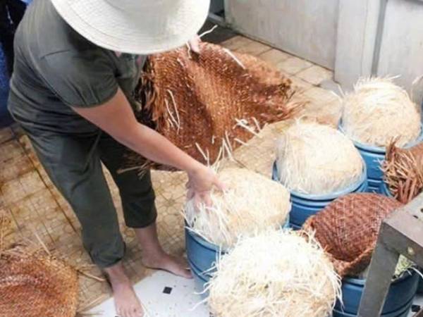 Mua giá đỗ ngâm hóa chất ở Bách Hoá Xanh, người dân có đòi được quyền lợi?