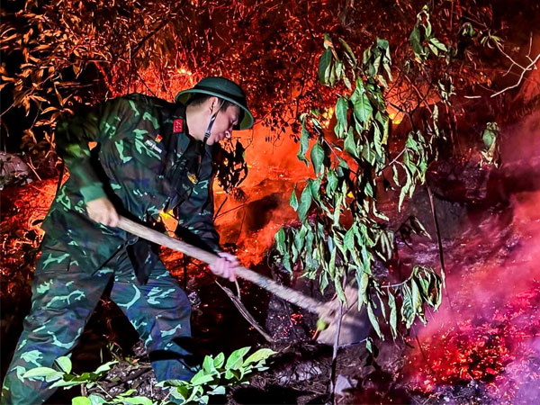 Gần 400 cán bộ, chiến sĩ chữa cháy rừng ở Hải Dương