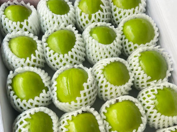 Loại trái cây đắt đỏ bậc nhất thị trường, VN cũng trồng được loại tương tự nhưng giá chỉ vài chục nghìn/kg