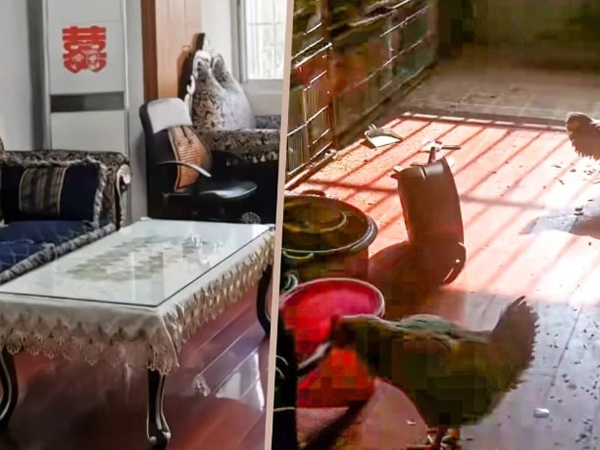 Trở về sau 2 năm, người đàn ông phẫn nộ khi nhìn thấy cảnh trong nhà