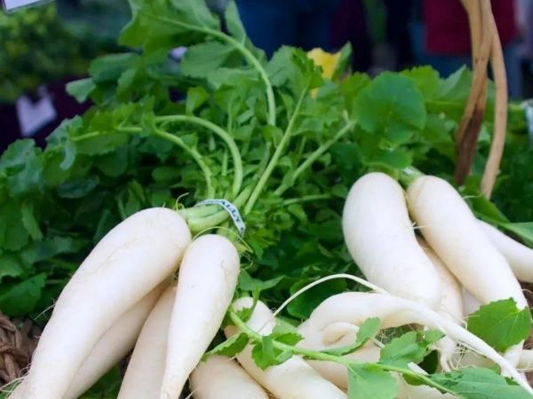 Củ cải có bộ phận 'bổ dưỡng tựa nhân sâm', người Việt thường bỏ đi mà không hay