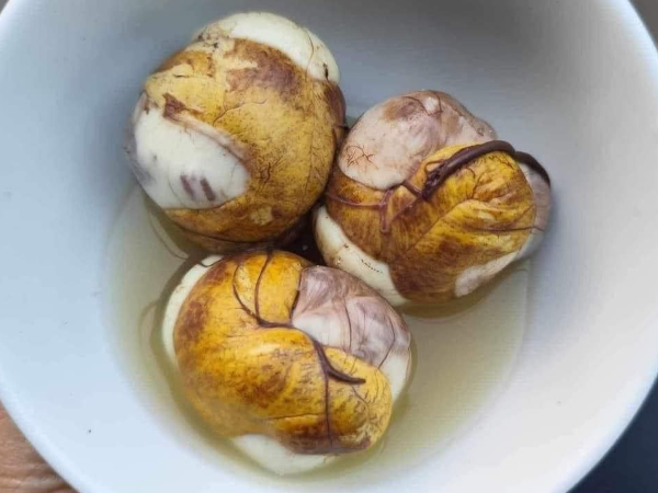 Suy giảm sinh lý có nên ăn trứng vịt lộn không?