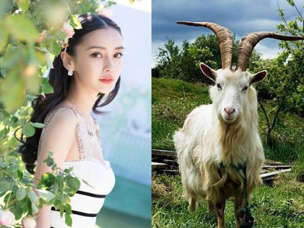 Phúc lộc tề tựu, đúng 10 ngày tới 3 tuổi này được Thần Tài trải thảm, rinh thưởng triệu đô!