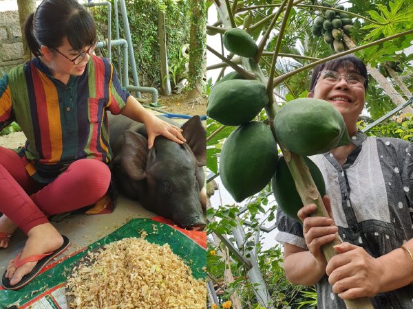 Cuộc sống ở tuổi U70 của nữ ca sĩ Việt nổi tiếng: Dùng cả biệt thự để nuôi lợn gà, chăm như con mọn