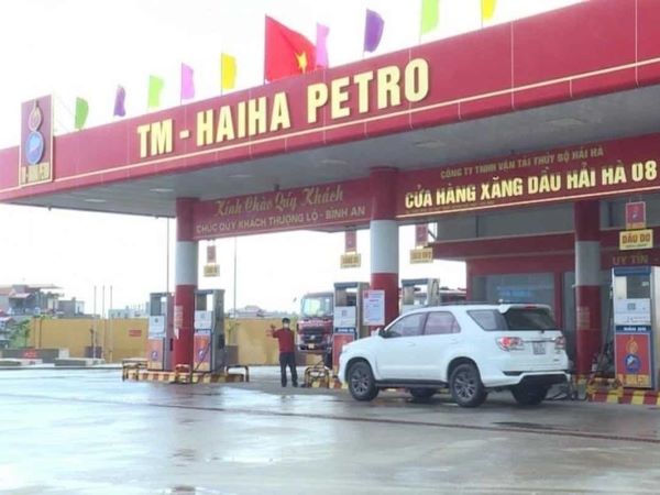 Nữ chủ tịch Hải Hà Petro Trần Tuyết Mai gây thất thoát hàng trăm tỉ đồng