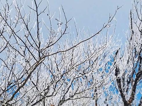 Dự báo thời tiết 13/1/2025: Nhiệt độ miền Bắc nhích lên, núi cao có băng giá