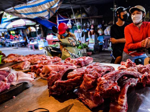 Giá thịt lợn vọt lên đỉnh, hàng lậu đổ về chợ Việt, cảnh báo lợn ăn ‘chất cấm’