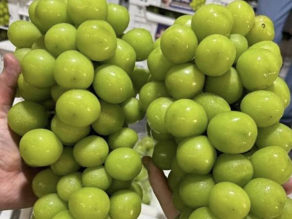 Nho sữa bị phát hiện có chất độc hại ở Thái, hàng vẫn đổ về chợ Việt giá siêu rẻ