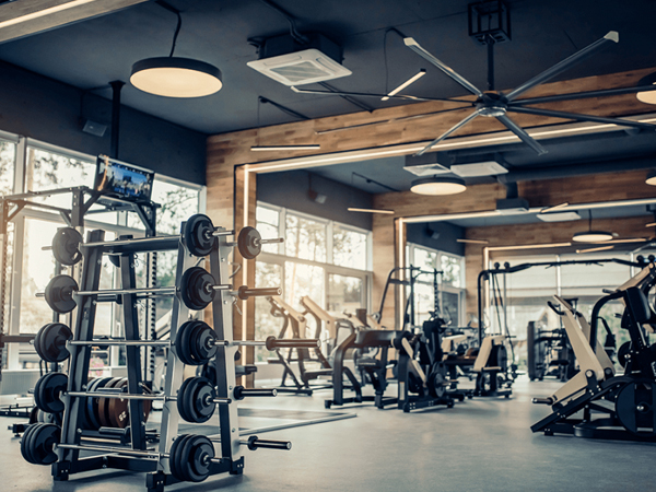 Cái kết đắng cho người đàn ông trốn việc đi tập thể hình hơn 600 lần
