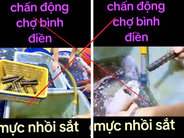 Xác minh clip mực nhồi sắt ở chợ Bình Điền đang xôn xao mạng xã hội
