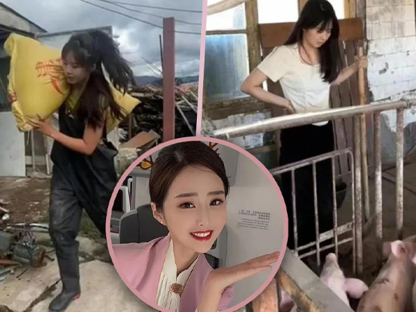 Nghỉ công việc mà nhiều người mơ ước để về quê nuôi lợn, cô gái kiếm được hàng trăm triệu đồng chỉ trong hai tháng