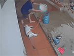 'Anh ơi, chạy đi còn kịp' - tiếng la thất thanh cùng pha dập lửa bình gas bốc cháy ngùn ngụt khiến ai cũng tái mặt