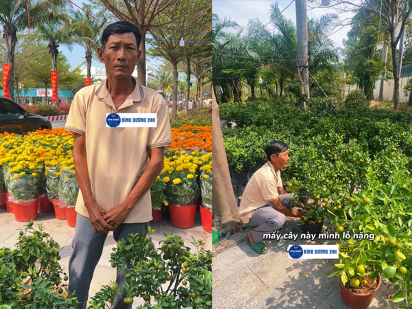 Mang cả 500 cây quất từ miền Tây lên Bình Dương, ông chú xót xa khi 10 ngày chỉ bán được hơn 20 cây