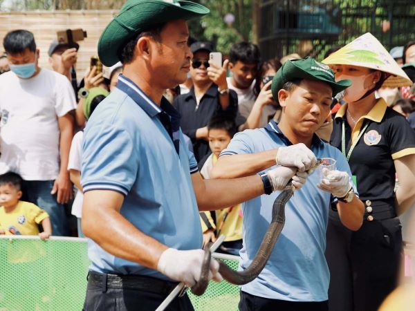 Trải nghiệm 'thót tim' dịp tết Ất Tỵ ở trại rắn lớn nhất miền Tây