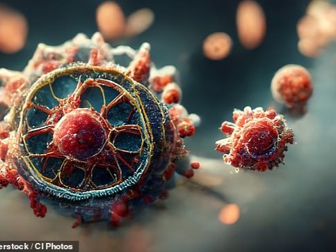 Mỹ: Phát hiện virus mới nguy hiểm, dấy lên nhiều lo ngại