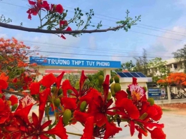 Công an vào cuộc vụ giáo viên bị tố làm nữ sinh lớp 10 mang thai