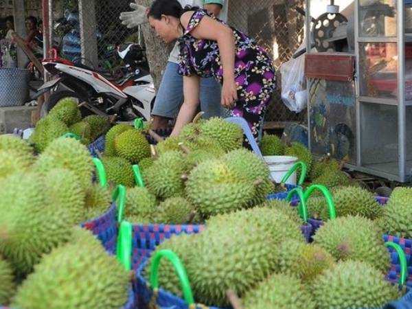 Thấy gì từ việc giá sầu riêng giảm quá sốc?