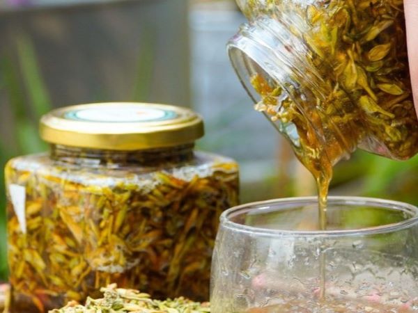 Mật ong ngâm hoa đu đủ đực có chữa được ung thư?