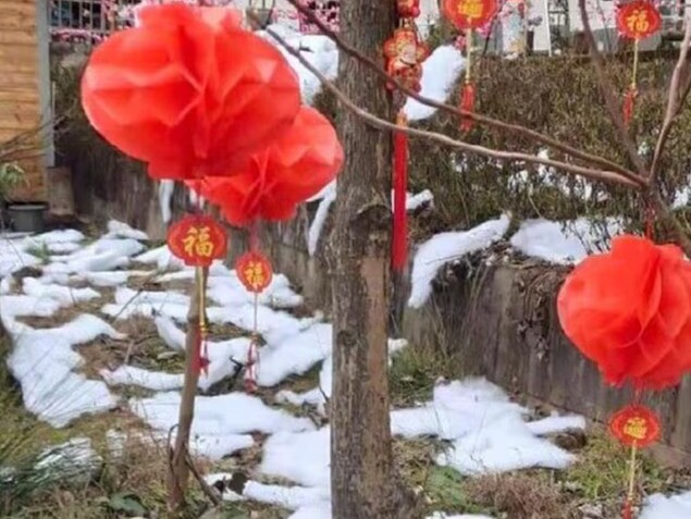 Khu du lịch Trung Quốc xin lỗi vì dùng vải len trắng làm tuyết giả