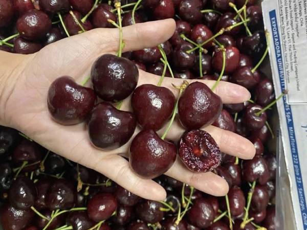 Sự thật cherry Chile giảm giá ‘sập sàn’, còn 100 nghìn/kg bán la liệt ở chợ Việt
