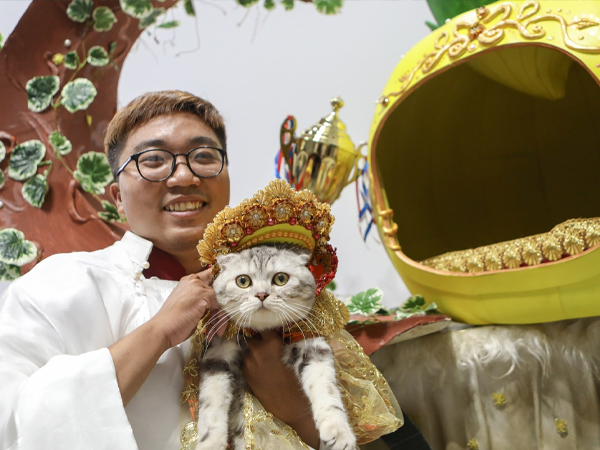 250 thú cưng diện trang phục độc đáo, catwalk so tài tại TPHCM