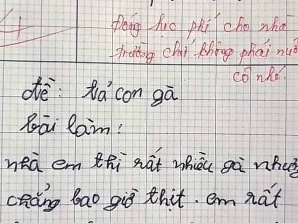 Bài văn tả gà của học sinh lớp 3 bị cô giáo cho 4 điểm và nhận xét cực gắt, dân mạng đọc thử rồi tranh cãi ầm ĩ