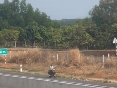 Người đàn ông chạy xe máy ngược chiều trên cao tốc Phan Thiết - Dầu Giây
