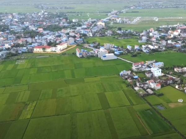 Nam Định chuẩn bị đấu giá 174 lô đất, khởi điểm từ 520 triệu đồng