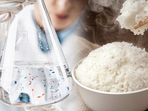 Một thực phẩm lành mạnh nhưng chứa nhiều vi nhựa: Người Việt đang ăn ngày 3 bữa