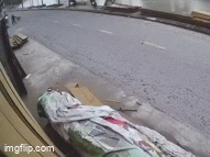 Clip 2 thanh niên tông trúng người đang dắt chó sang đường rồi luống cuống bỏ chạy, số phận nạn nhân khiến triệu người lo lắng
