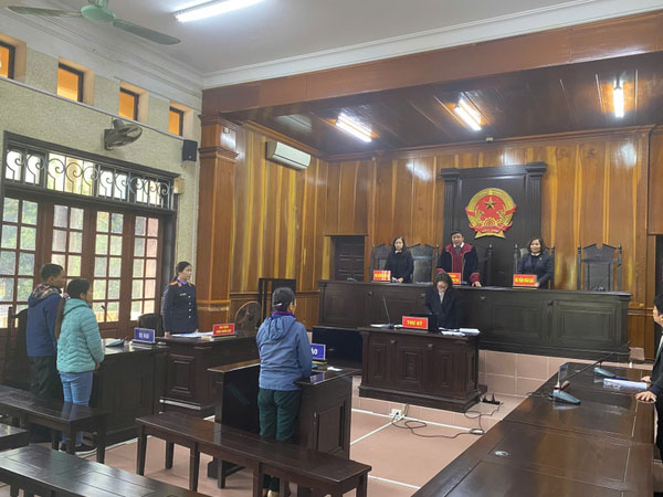 Hải Dương: Giăng điện bẫy chuột ruộng lúa, người chết, kẻ đi tù
