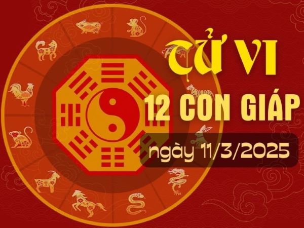 Tử vi 12 con giáp hôm nay - thứ 3 ngày 11/03/2025: Thìn ảm đạm, Tuất hanh thông
