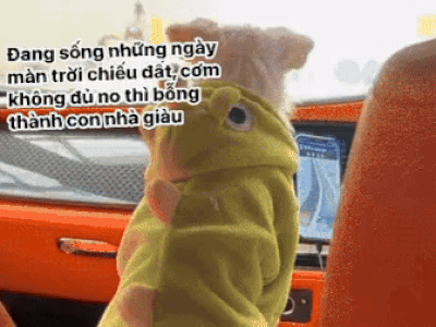 Đi lang thang gặp chủ tịch đi Rolls Royce, chỉ 35 giây đủ chứng minh 'nghèo thì lâu chứ giàu thì mấy chốc'