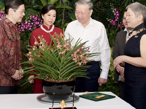 Singapore lấy tên Tổng Bí thư Tô Lâm và Phu nhân đặt cho loài hoa lan mới