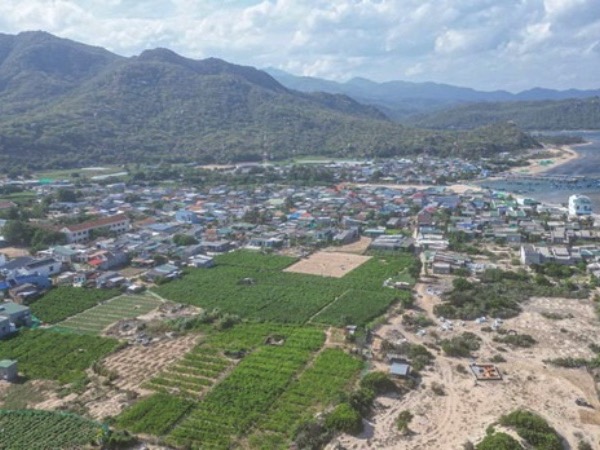 12.000 tỉ đồng giải phóng mặt bằng dự án điện hạt nhân