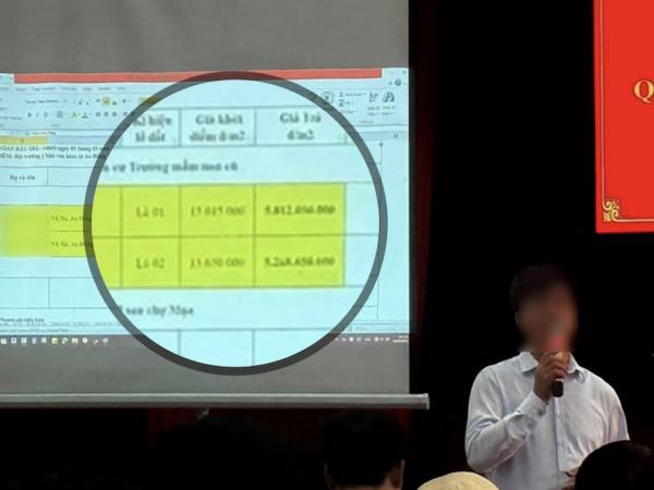 Trả nhầm 5 tỷ/m2 đất quê, người trúng đấu giá có được trả 800 triệu tiền cọc?