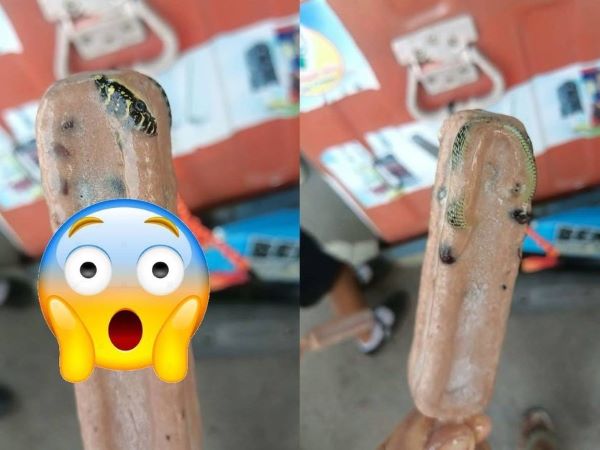 Thái Lan: Thực khách hết hồn khi thấy con rắn đông cứng trong que kem, nghe dân mạng bình luận 1 chuyện càng thêm hoang mang