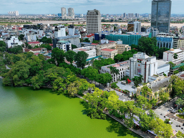 Ảnh bìa bài viết 980796