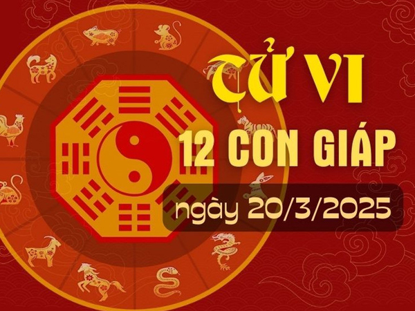 Tử vi thứ 5 ngày 20/3/2025 của 12 con giáp: Tý thông minh, Hợi sắp có tiền