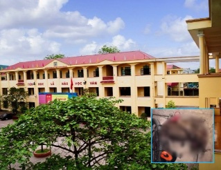 Xôn xao thông tin học sinh bị kỷ luật vì tố bảo vệ trường 'làm thịt' chú chó đi lạc: Nhà trường nói gì?