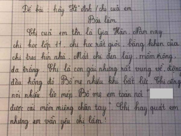 Học sinh tiểu học bóc phốt chị gái 'lẻo mép, vụng về, đụng đâu hỏng đó', đọc đến đoạn kết mà dân tình chết lặng