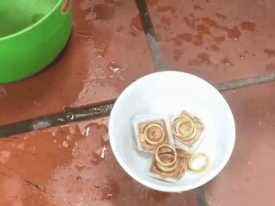 Con cháu đào được 2 hộp đựng vàng của ông bà trong vườn đúng ngày giá leo đỉnh, số lượng bất ngờ