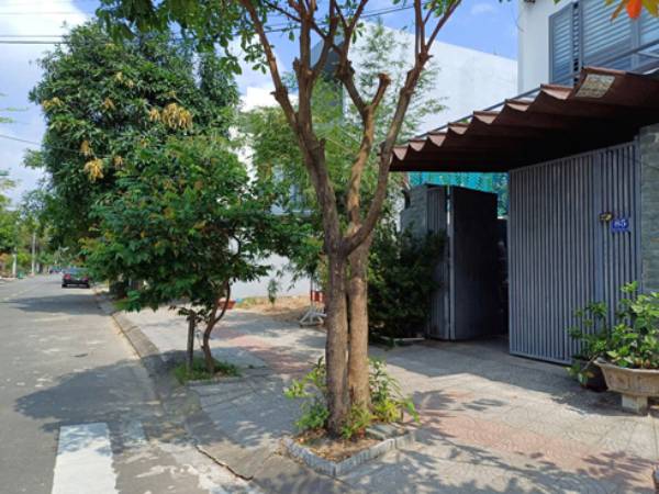 Bỗng dưng... thành giám đốc công ty nợ thuế!
