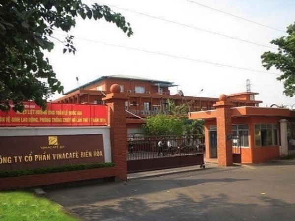 Một doanh nghiệp cà phê tính trả cổ tức tới 480% bằng tiền
