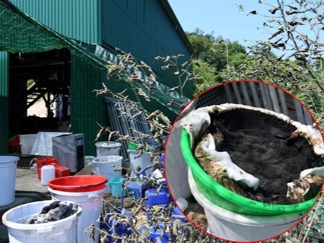 Hình ảnh 'chết chóc' trong kho xưởng sản xuất 1,4 tấn ma túy, mùi hoá chất xộc lên váng đầu