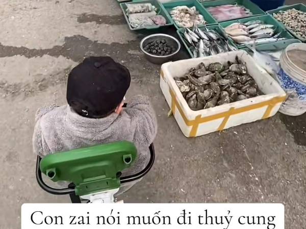 Con muốn đi thủy cung, mẹ đưa đến nơi không ai ngờ, người chê 'thế hệ cợt nhả làm mẹ', người khen 'dạy con hay'