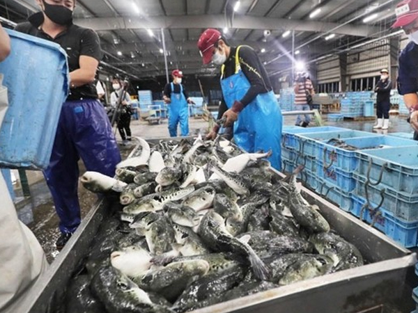 Áp thuế 46%: Hơn 37.000 tấn thủy sản Việt Nam đang trên đường sang Mỹ